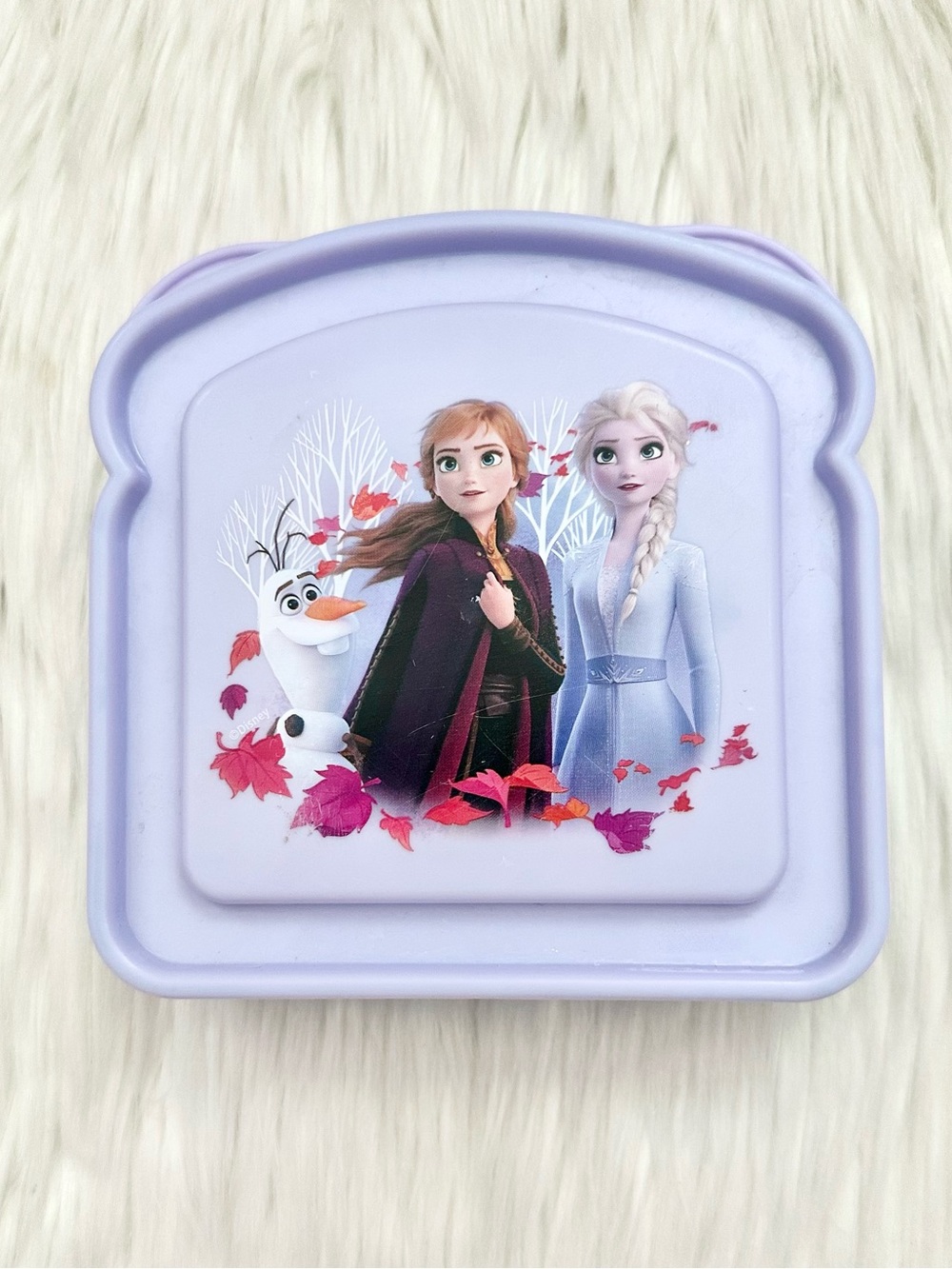 ELSA & ANNA CASE
